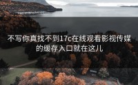 不写你真找不到17c在线观看影视传媒的缓存入口就在这儿