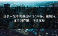当事人在昨晚遭遇Mitao揭秘，蜜桃传媒全网炸锅，详情探秘