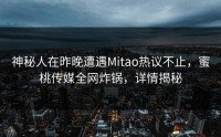神秘人在昨晚遭遇Mitao热议不止，蜜桃传媒全网炸锅，详情揭秘