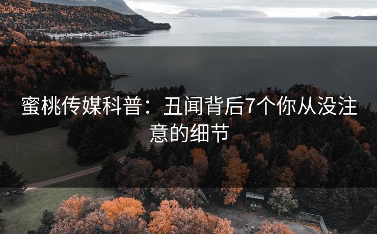 蜜桃传媒科普:丑闻背后7个你从没注意的细节 蜜桃传媒科普:丑闻背后7个你从没注意的细节