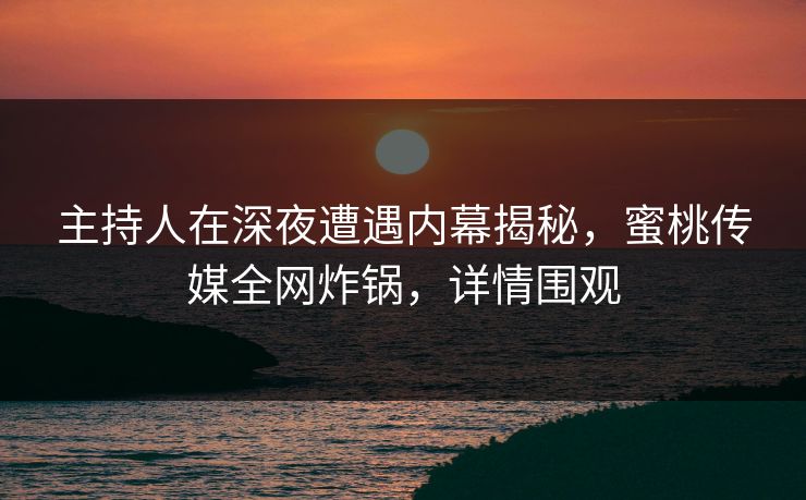 主持人在深夜遭遇内幕揭秘，蜜桃传媒全网炸锅，详情围观