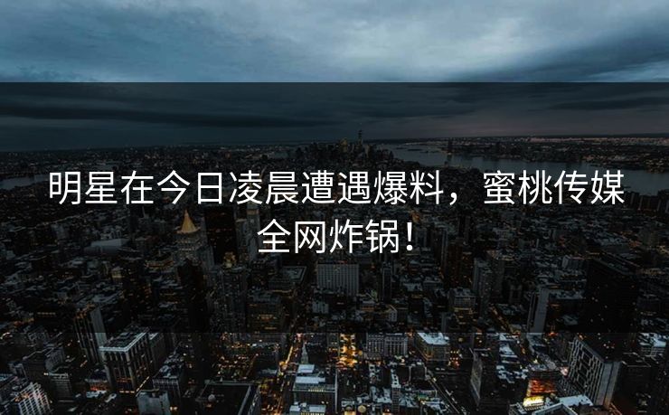 明星在今日凌晨遭遇爆料,蜜桃传媒全网炸锅! 明星在今日凌晨遭遇爆料,蜜桃传媒全网炸锅!